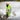 Paikka - Rain Suit Neon