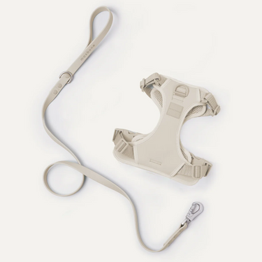 Maxbone - Hazel Leash Set
