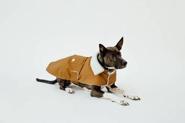 The Working Dog Co - Fleece-lined Jacket