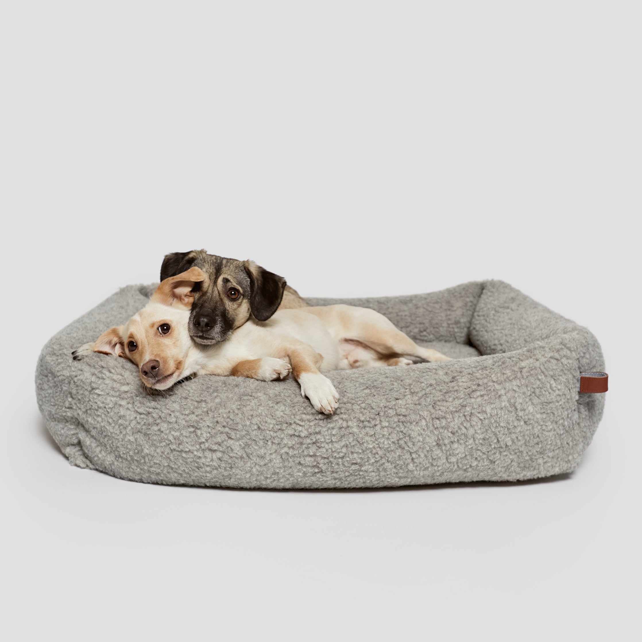 Cloud 7 dog bed sales