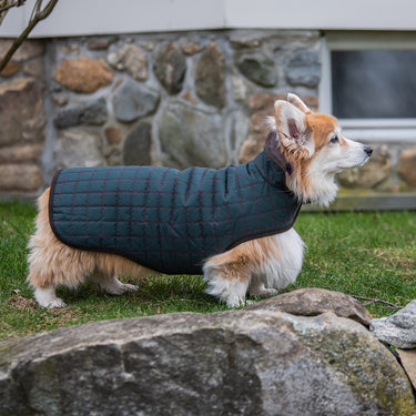 Paco & Lucia Waterproof Dog Coat | Dark Green
