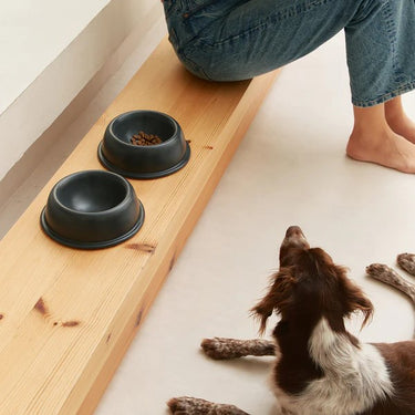Cafide Ceramic Dog Bowl | Black