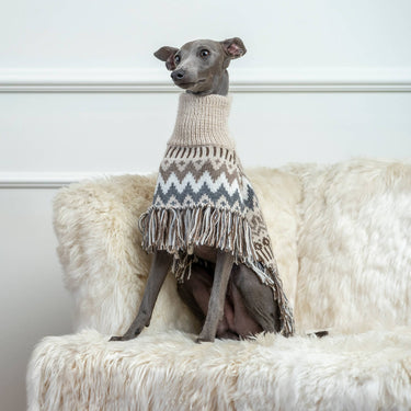 Alqo Wasi Alpaca Dog Poncho | Woolly Winter