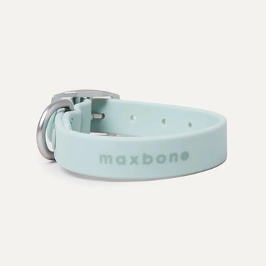 Maxbone Collar | Hazel