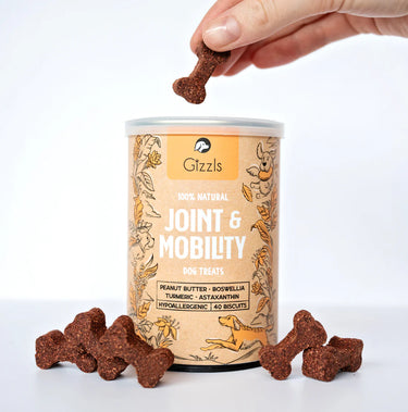 Gizzls Natural Dog Treats | Joint & Mobility