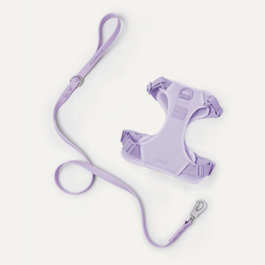 Maxbone - Hazel Leash Set