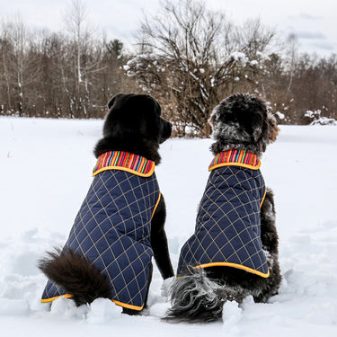 Paco & Lucia | Waterproof Dog Coat