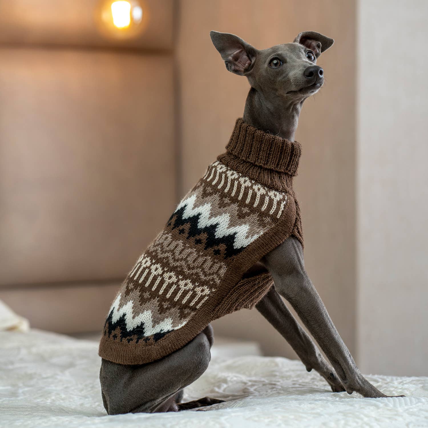 Alqo Wasi - Woolly Peaks Alpaca Dog Sweater – George's Dog Boutique