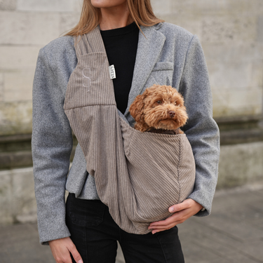 Staey Puppy Carrier | Corduroy
