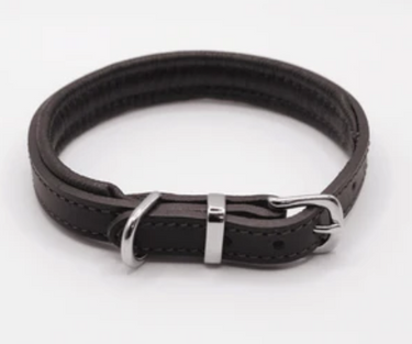 Dogs & Horses Padded Leather Collar