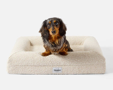 Teddy London Boucle Bed