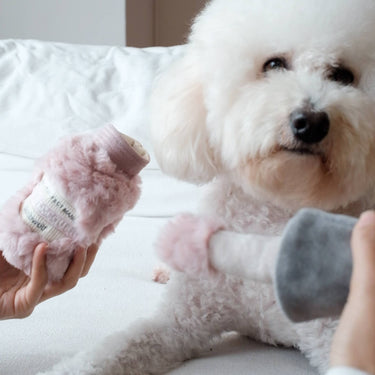 Lambwolf Collective Enrichment Toy | Nail Polish