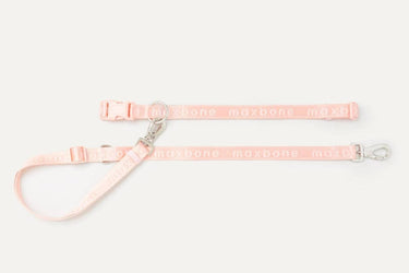 Maxbone Dog Leash | Hands Free