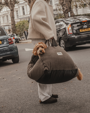 By Teddy The Cosy Car Seat | Chocolate