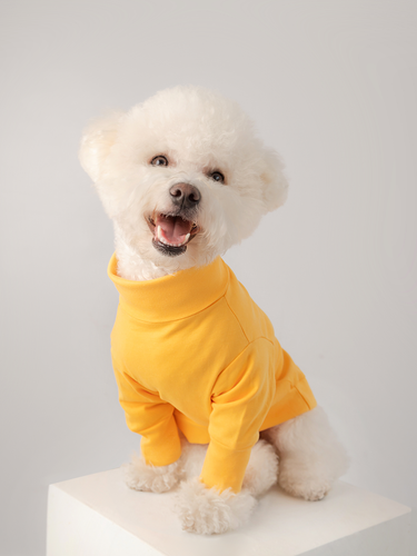 Colette et Gastón Jumper
