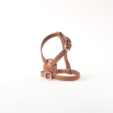 Carlotta Palermo Leather Harness