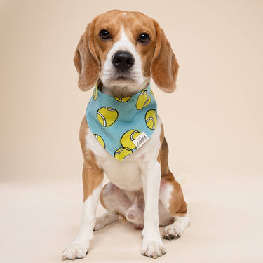 The Paws - Fetch Dog Bandana