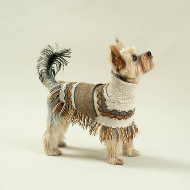 Alqo Wasi - Pisac Alpaca Dog Poncho