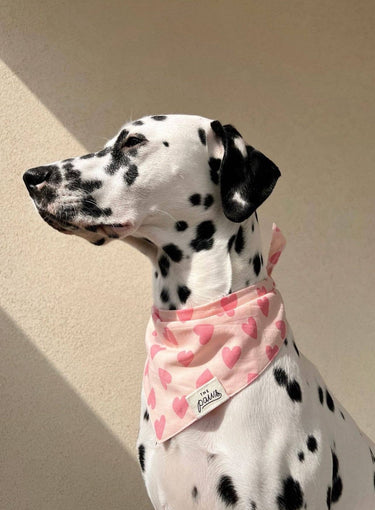 The Paws Dog Bandana | Pink Hearts
