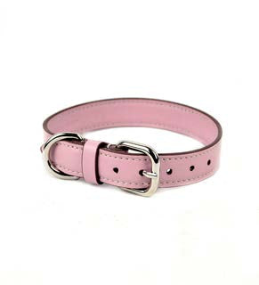 Carlotta Palermo | Leather Collar