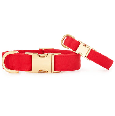 The Foggy Dog Collar | Ruby
