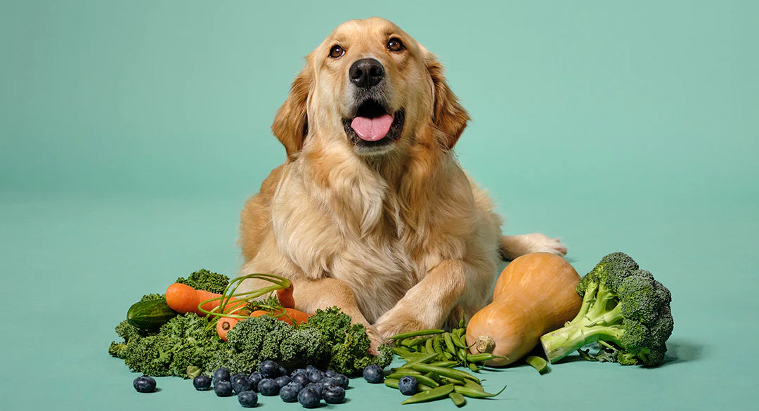Plant-based treats