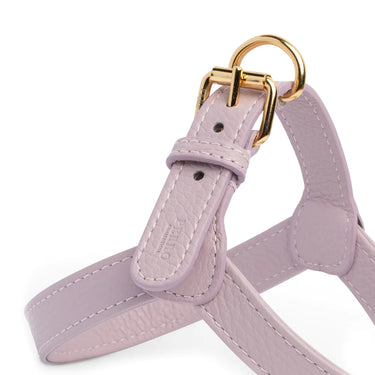 Perro Collection - Lila Leather Dog Harness
