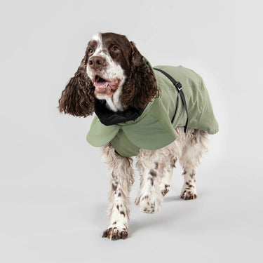 Paikka Dog Coat | Reflective