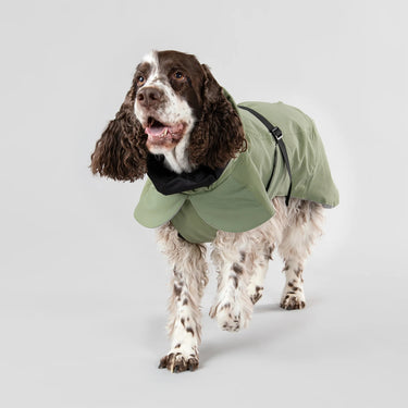 Paikka - Reflective Dog Coat