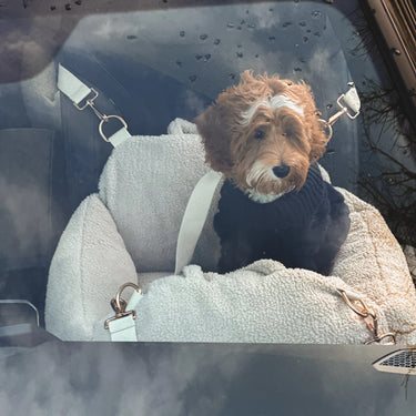 By Teddy Car Seat | Cosy