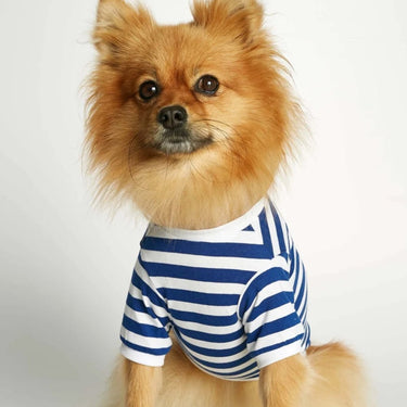 The Painter's Wife - Navy Stripy Tee