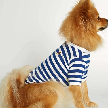The Painter's Wife - Navy Stripy Tee