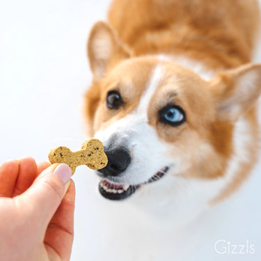 Gizzls Dog Treats | Minty Fresh, 200g