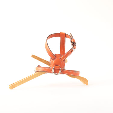 Carlotta Palermo Nuvola Leather Harness