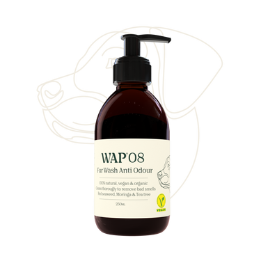 Buddy Pet - Shampoo