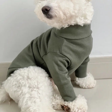 Colette et Gastón | Jumper