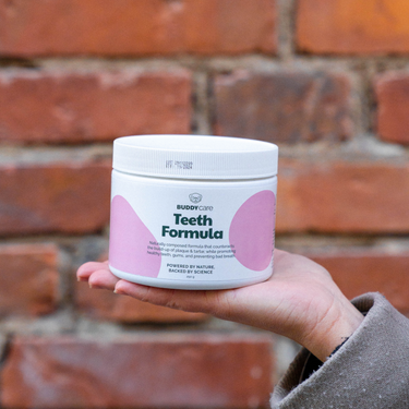 Buddy Pet Foods - Teeth Formula