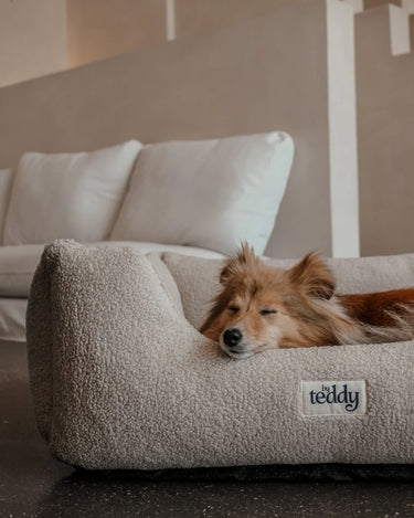 By Teddy The Cosy Bed | Cream