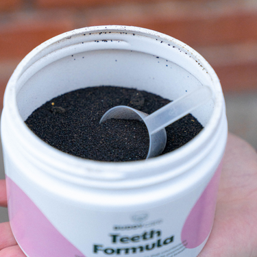 Buddy Pet Foods - Teeth Formula