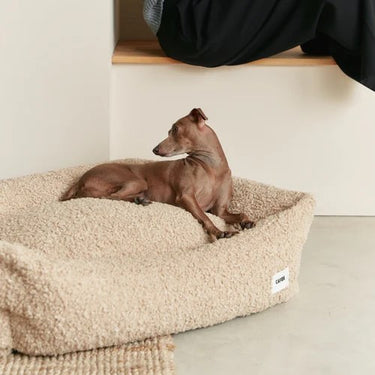 Cafide Dog Bed | Teddy Fleece