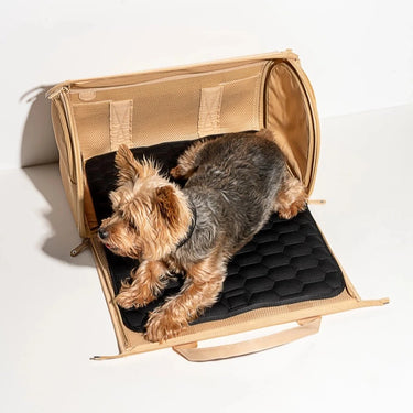 Wild One - Travel Dog Carrier