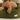 Small brown dog sitting on a green pet bed with 'CAFE' label.