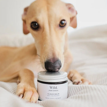 Wild for Dogs Paw And Nose Balm - 60mL