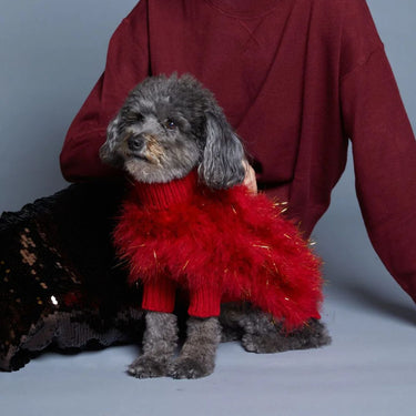 Maxbone x Christian Cowan Jumper | Holiday Glitz