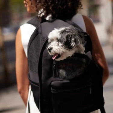 Maxbone - Dog Carrier Backpack