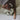 Lambwolf Collective - O Nou Oversized Toy (Sage)