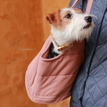 Tadazhi - RIO Dog Carrier Bag