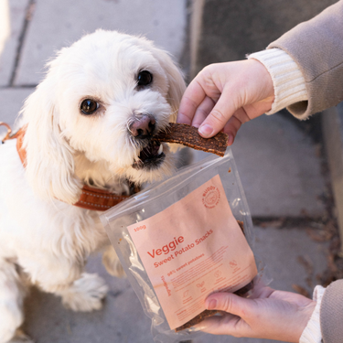 Buddy Pet Foods - Sweet Potato Fillets