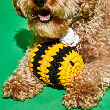 Ware of the Dog - Bumble Bee