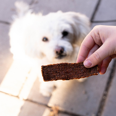 Buddy Pet Foods - Sweet Potato Fillets